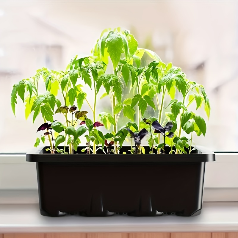 Seedling Starter Kit 1/2/3 Set - Led Assortment Kit recensione e prezzo