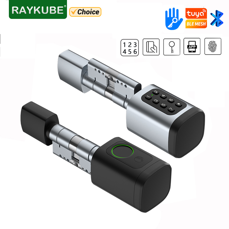 RAYKUBE V1 Tuya BLE TT Lock Sm - Diy Waterproof Electronics recensione e prezzo