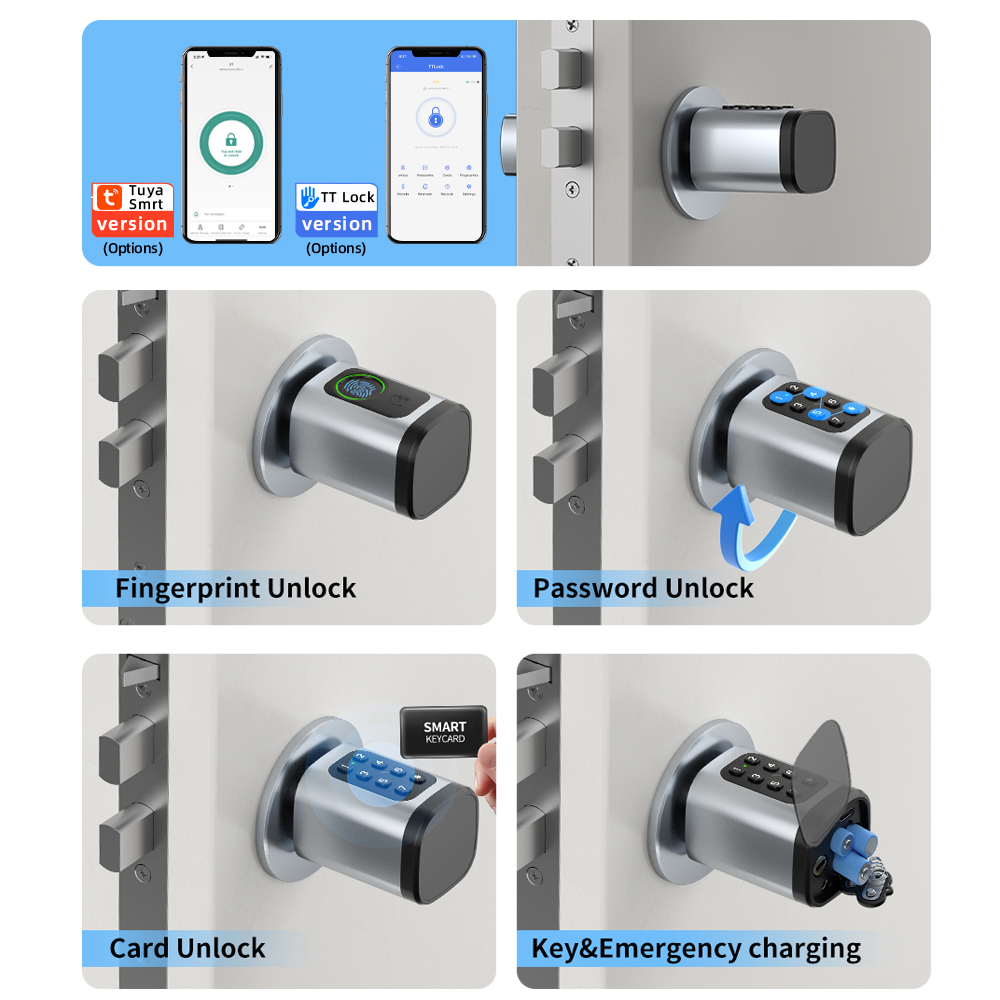 RAYKUBE V1 Tuya BLE TT Lock Sm - Diy Waterproof Electronics recensione e prezzo