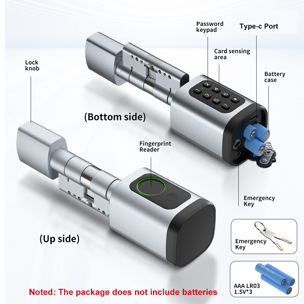 RAYKUBE V1 Tuya BLE TT Lock Sm - Diy Waterproof Electronics recensione e prezzo