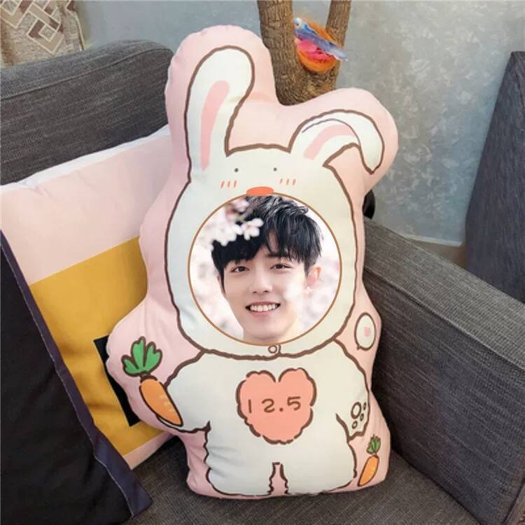 Xiao Zhan Custom Photo DIY Plu - Diy Q recensione e prezzo