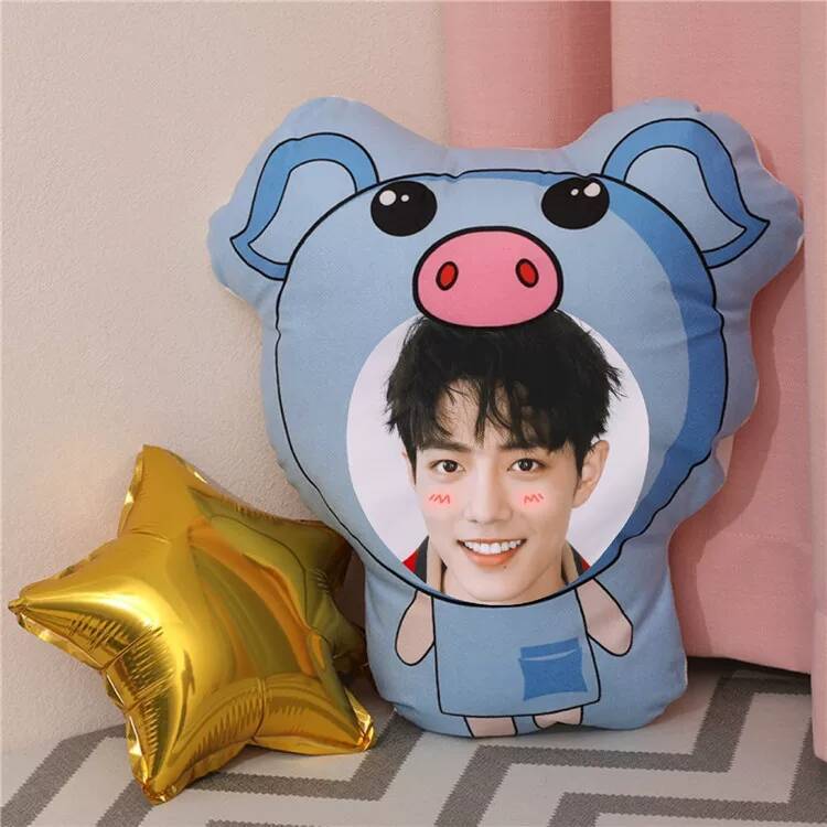 Xiao Zhan Custom Photo DIY Plu - Diy Q recensione e prezzo