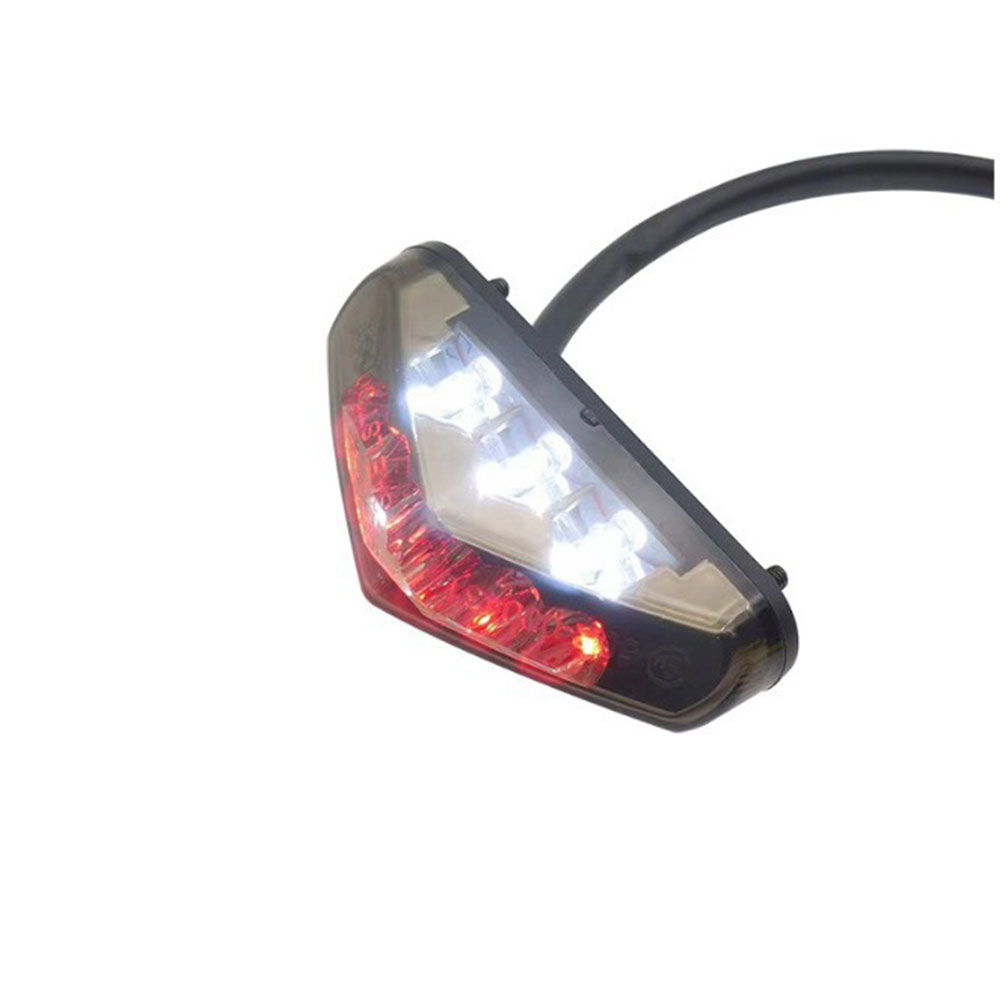 Mini Motorcycle LED Tail Licen - Diy Lamp Electronics recensione e prezzo